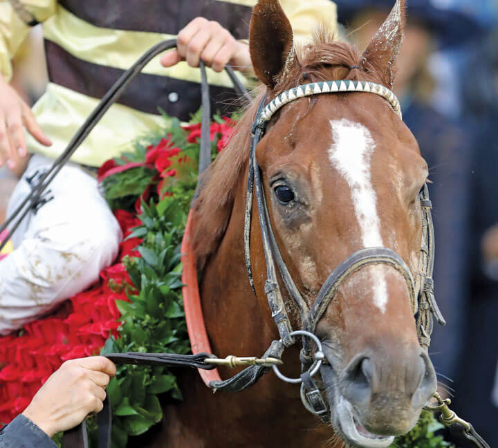 Greatness in Motion: Guinness McFadden looks back on  Country House’s Derby 145 triumph